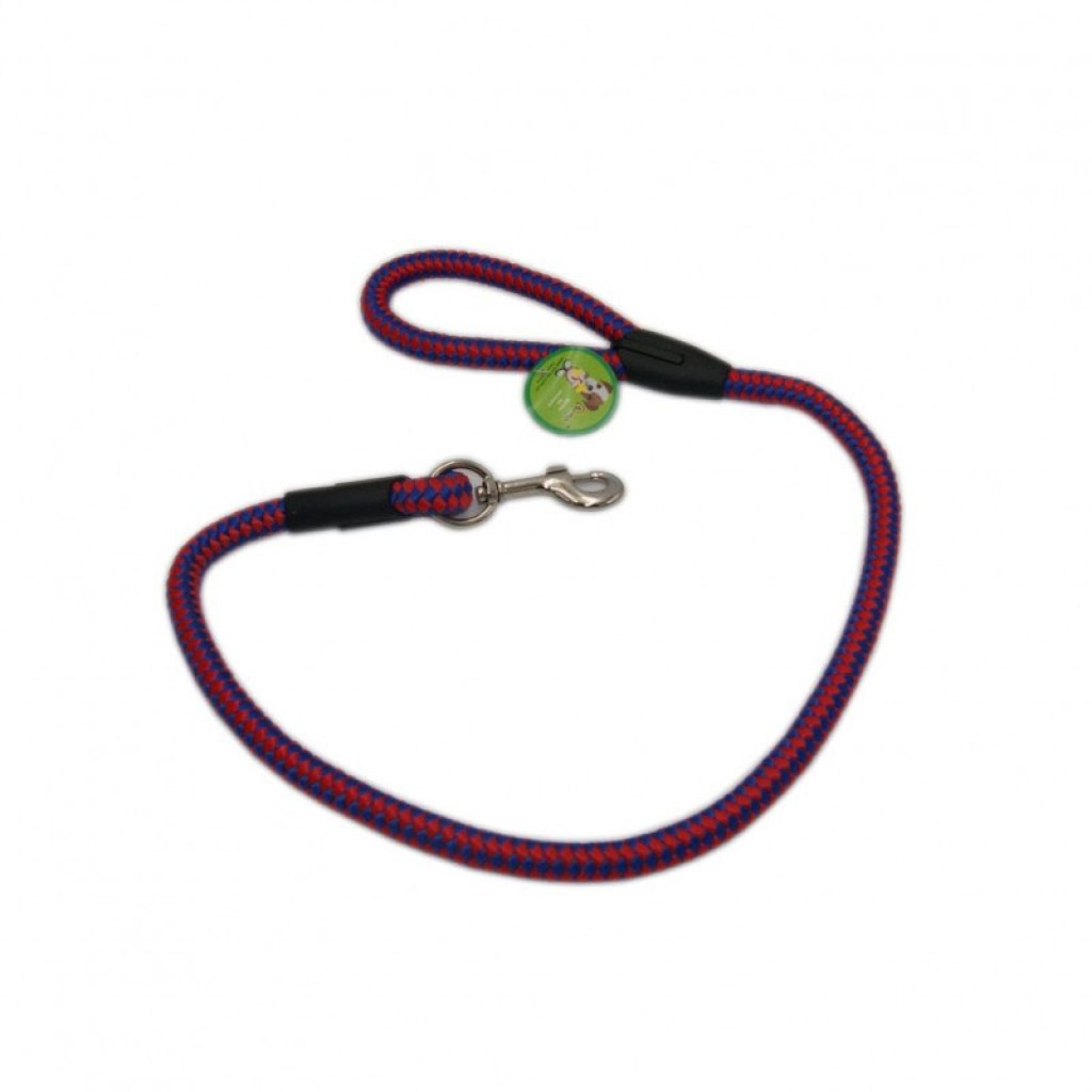 λουράκι-σκύλου-σε-κόκκινο-χρώμα